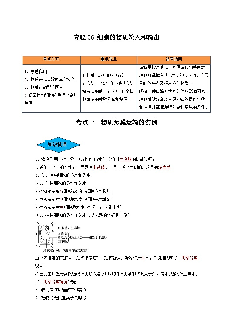 专题06 细胞的物质输入和输出（串讲）-备战2024年高考生物一轮复习精讲精练（新高考专用）01