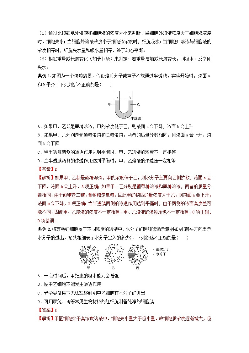专题06 细胞的物质输入和输出（串讲）-备战2024年高考生物一轮复习精讲精练（新高考专用）03