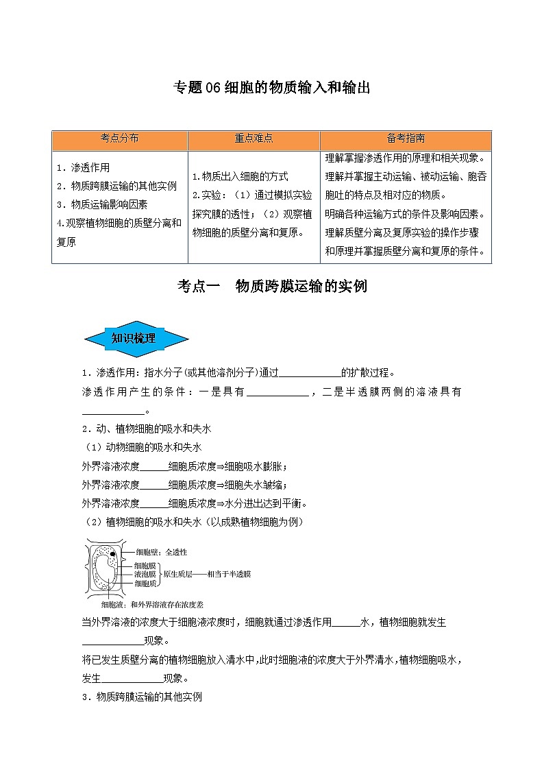 专题06 细胞的物质输入和输出（串讲）-备战2024年高考生物一轮复习精讲精练（新高考专用）01