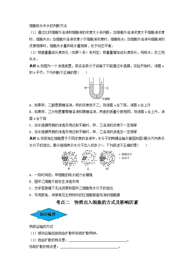 专题06 细胞的物质输入和输出（串讲）-备战2024年高考生物一轮复习精讲精练（新高考专用）03
