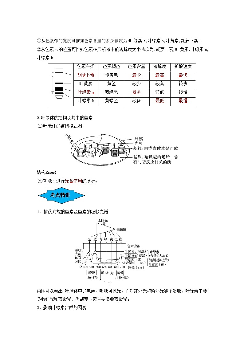 专题09 光合作用（串讲）-备战2024年高考生物一轮复习精讲精练（新高考专用）02
