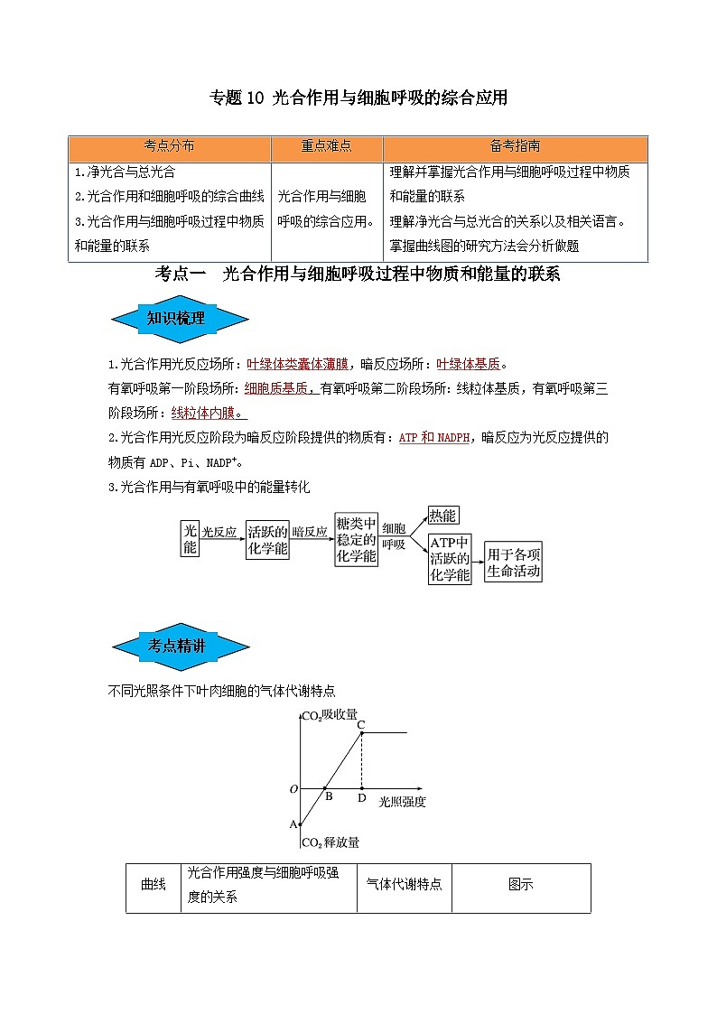 专题10 光合作用与细胞呼吸的综合应用（串讲）（解析版）第1页