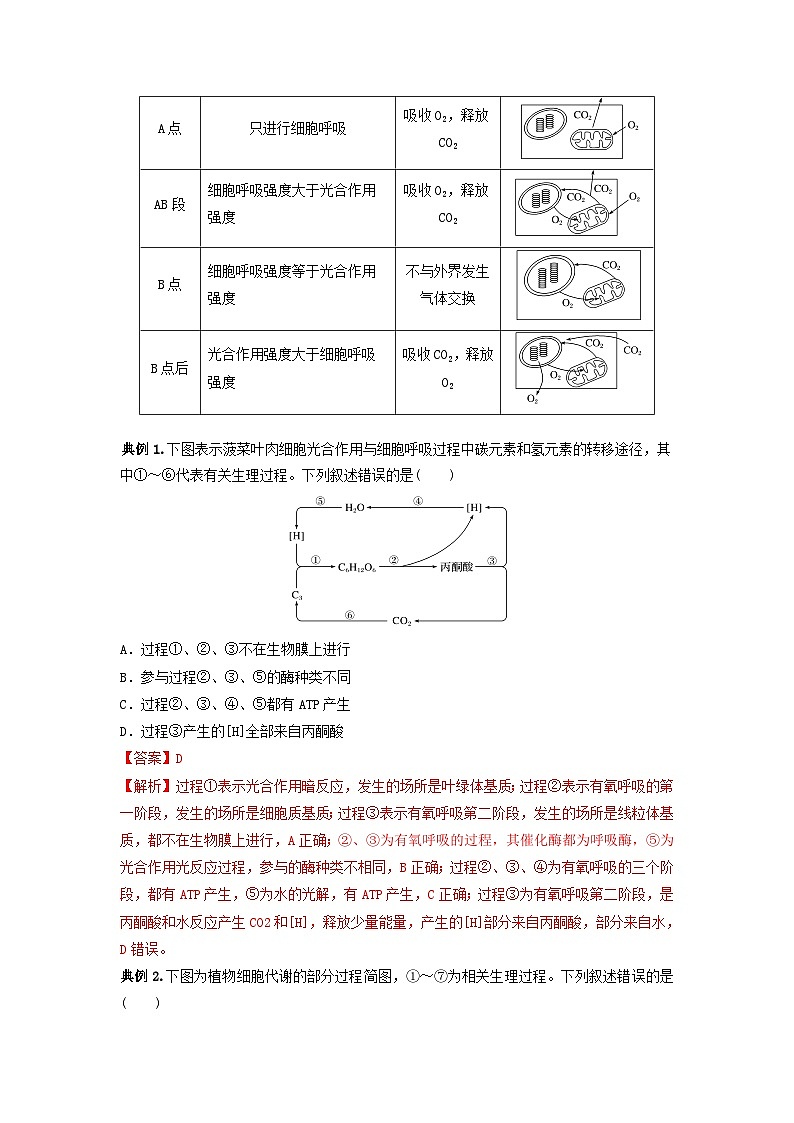 专题10 光合作用与细胞呼吸的综合应用（串讲）（解析版）第2页
