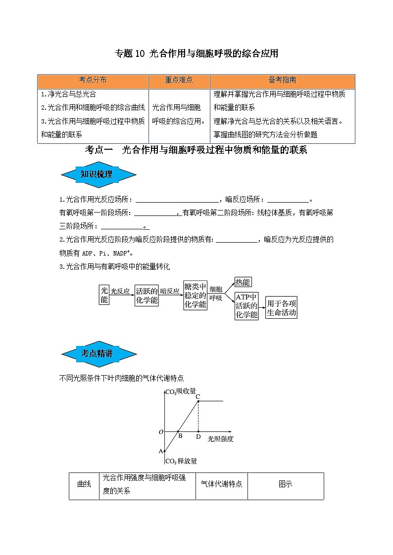 专题10 光合作用与细胞呼吸的综合应用（串讲）（原卷版）第1页
