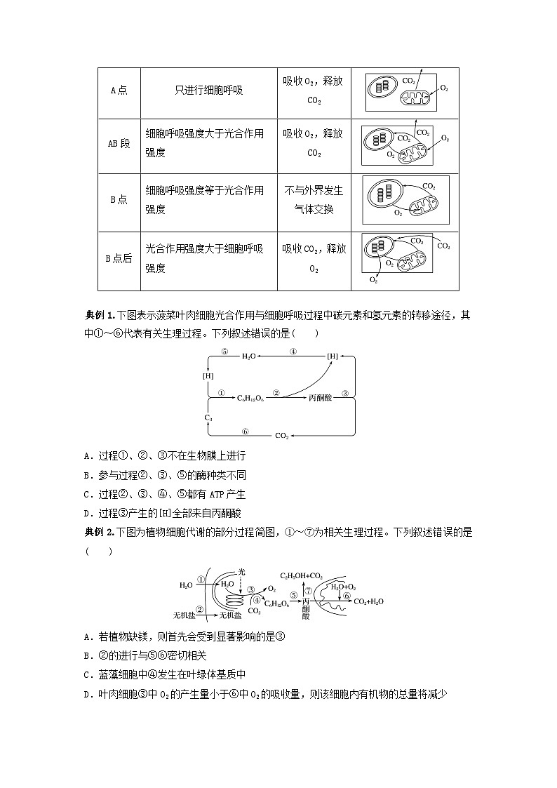 专题10 光合作用与细胞呼吸的综合应用（串讲）（原卷版）第2页