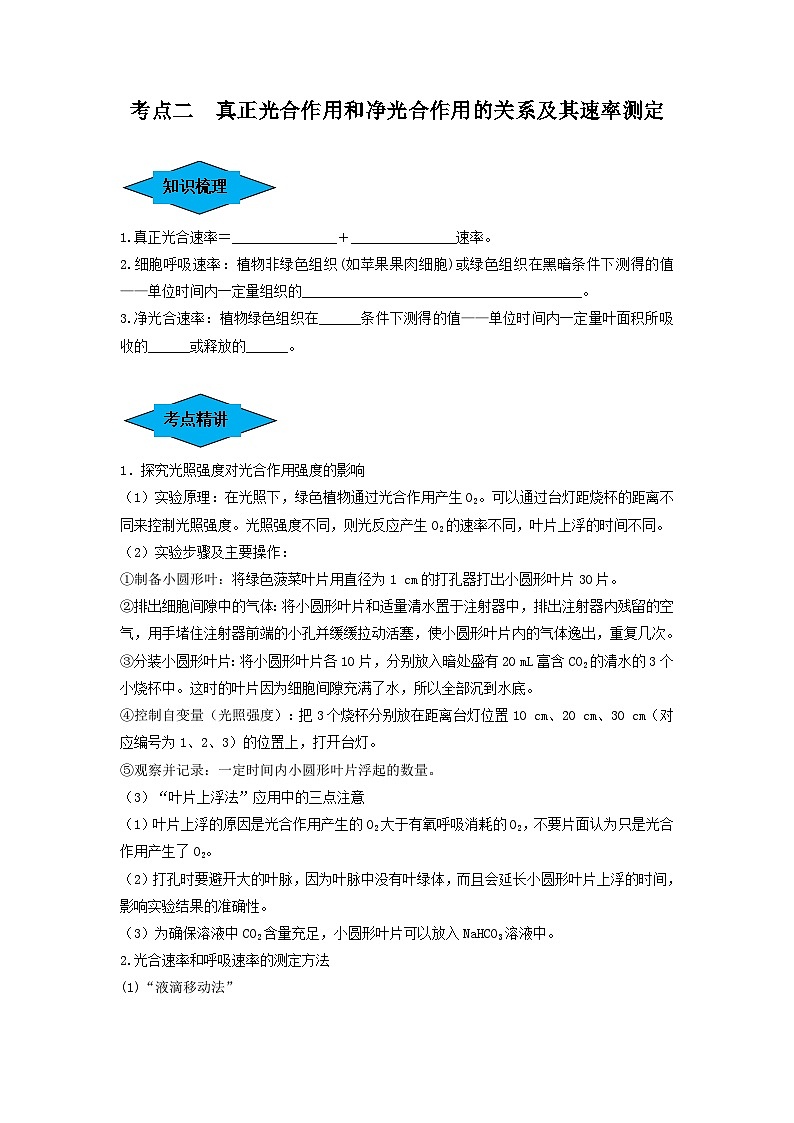 专题10 光合作用与细胞呼吸的综合应用（串讲）（原卷版）第3页