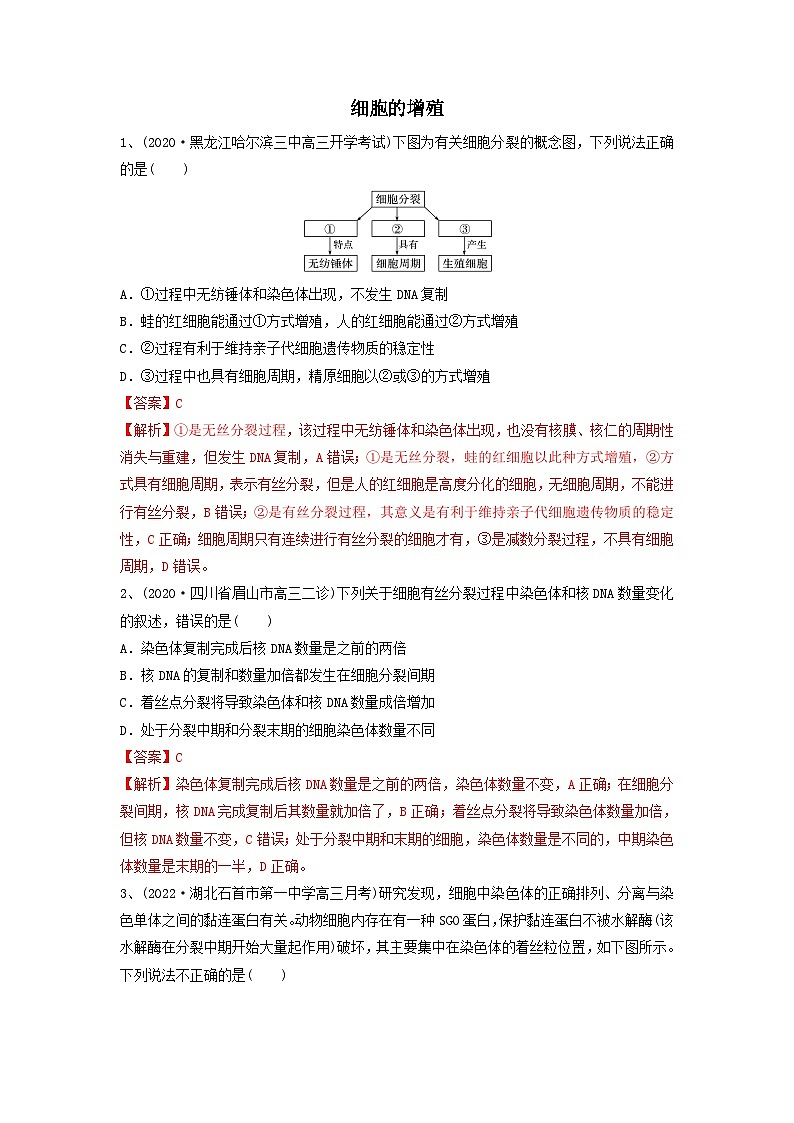 专题11 细胞的增殖（精练）（解析版）第1页