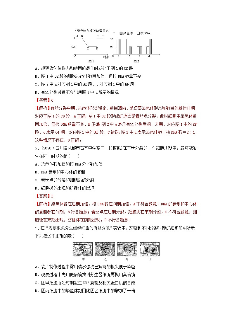 专题11 细胞的增殖（精练）（解析版）第3页