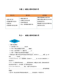 专题12 减数分裂和受精作用（串讲）-备战2024年高考生物一轮复习精讲精练（新高考专用）