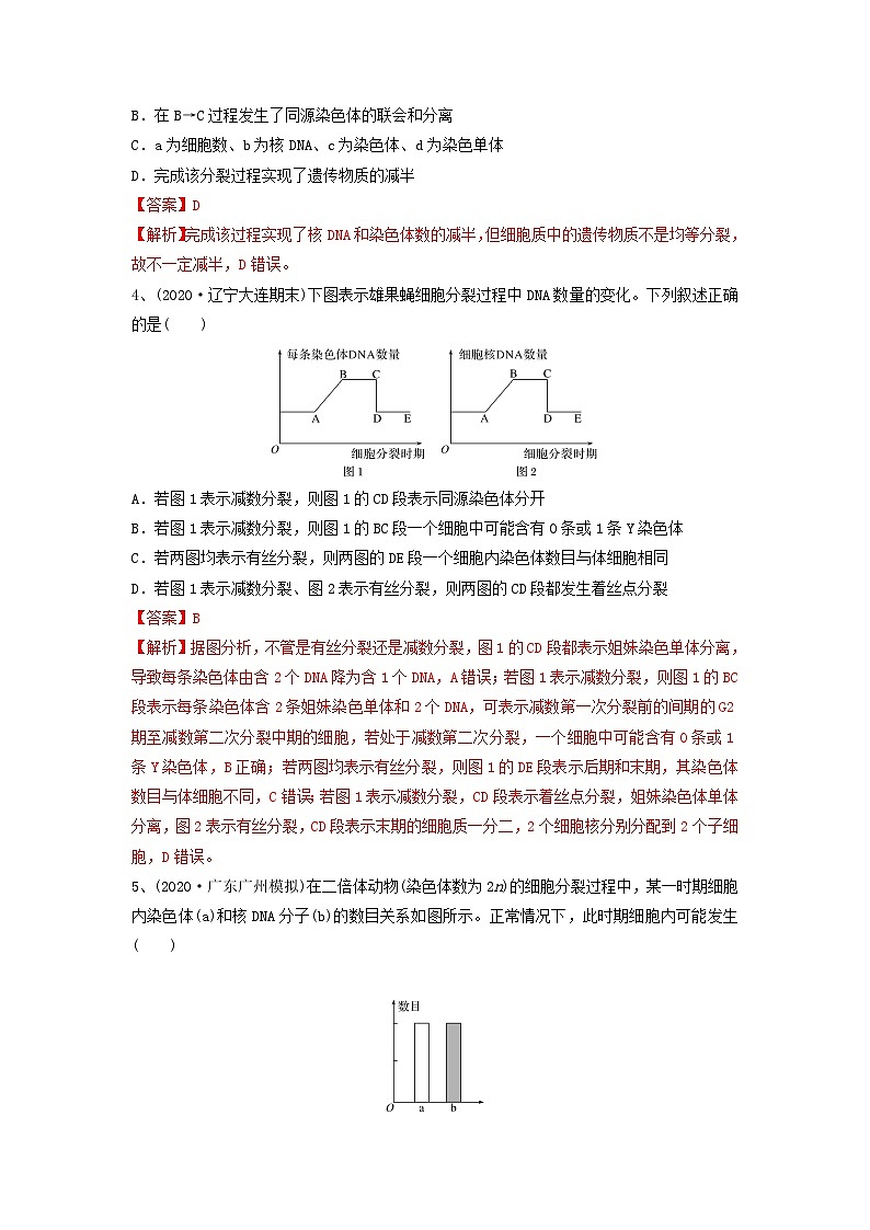 专题12 减数分裂和受精作用（精练）-备战2024年高考生物一轮复习精讲精练（新高考专用）02