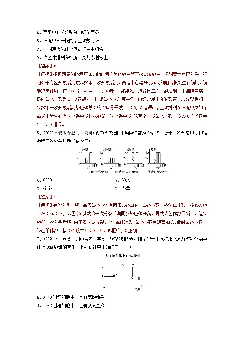 专题12 减数分裂和受精作用（精练）-备战2024年高考生物一轮复习精讲精练（新高考专用）03