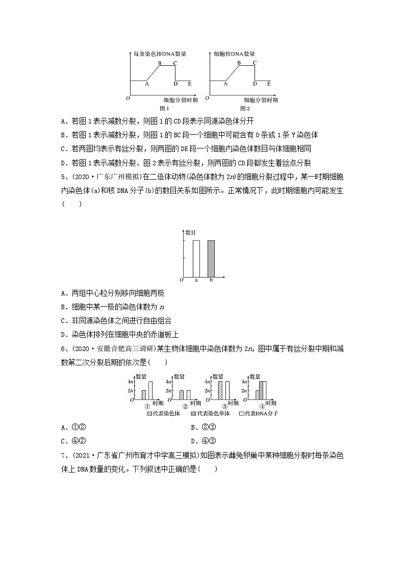 专题12 减数分裂和受精作用（精练）-备战2024年高考生物一轮复习精讲精练（新高考专用）02