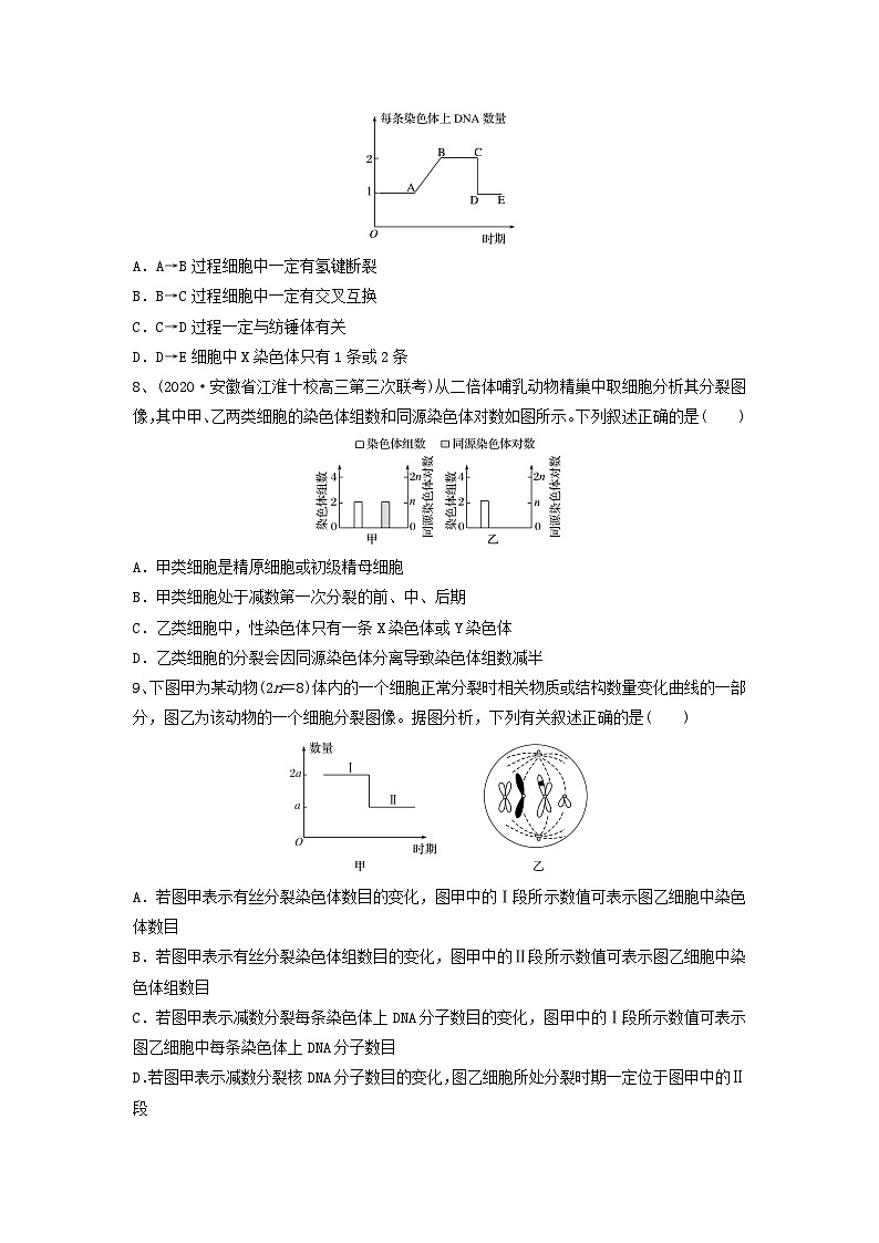 专题12 减数分裂和受精作用（精练）-备战2024年高考生物一轮复习精讲精练（新高考专用）03