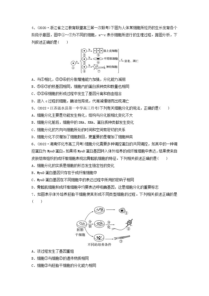 专题13 细胞的分化、衰老和死亡（精练）（原卷版）第2页
