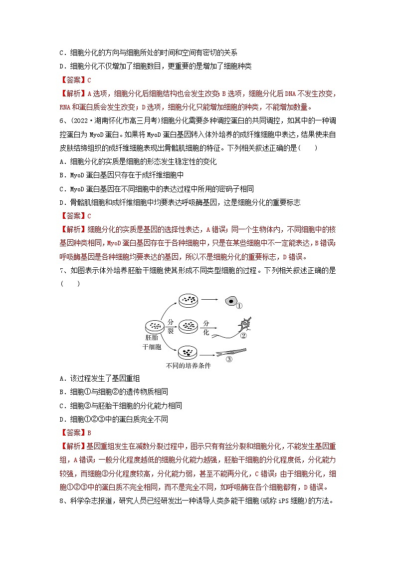 专题13 细胞的分化、衰老和死亡（精练）（解析版）第3页