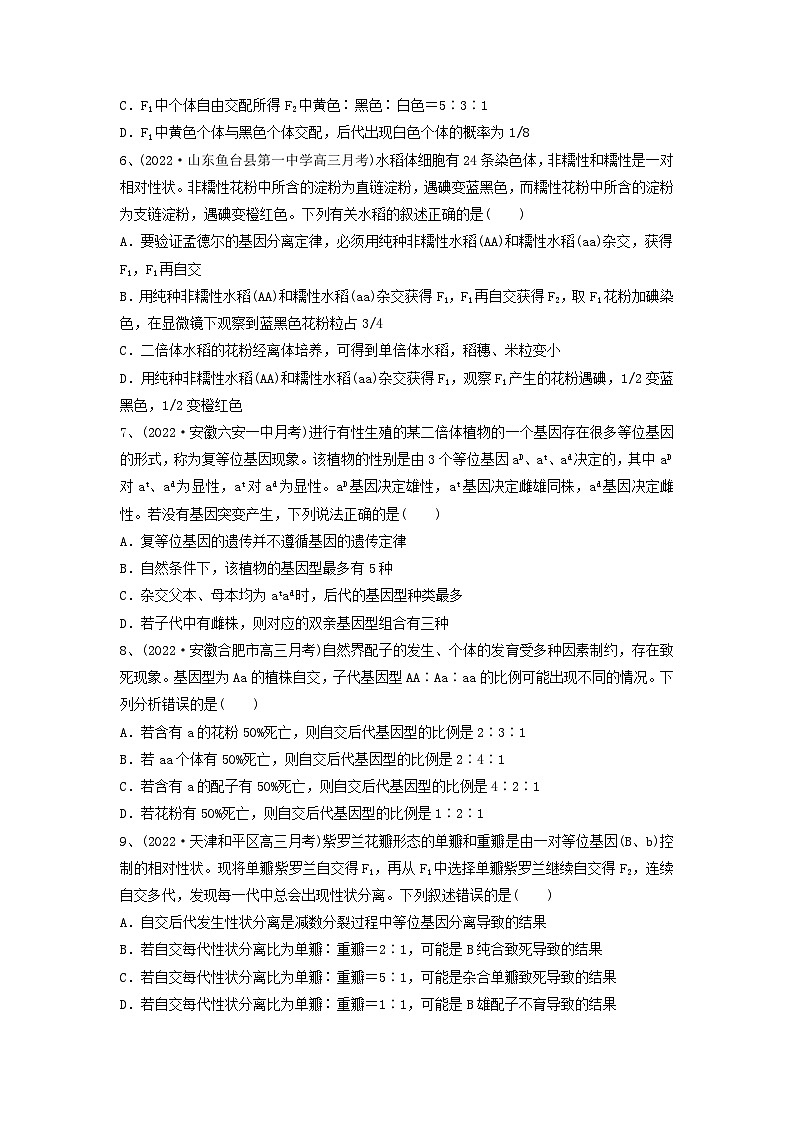 专题14 基因的分离定律（精练）（原卷版）第2页