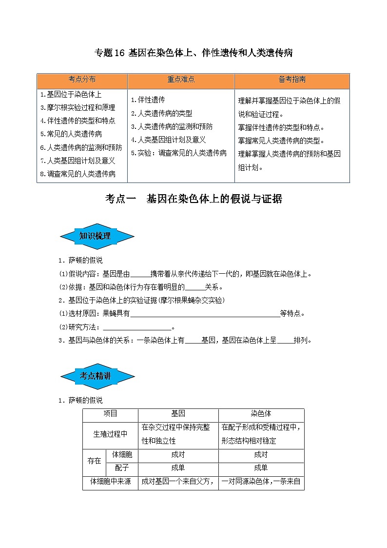 专题16 基因在染色体上、伴性遗传和人类遗传病（串讲）（原卷版）第1页