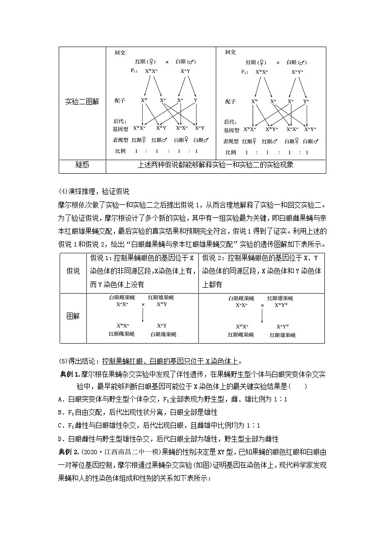 专题16 基因在染色体上、伴性遗传和人类遗传病（串讲）（原卷版）第3页