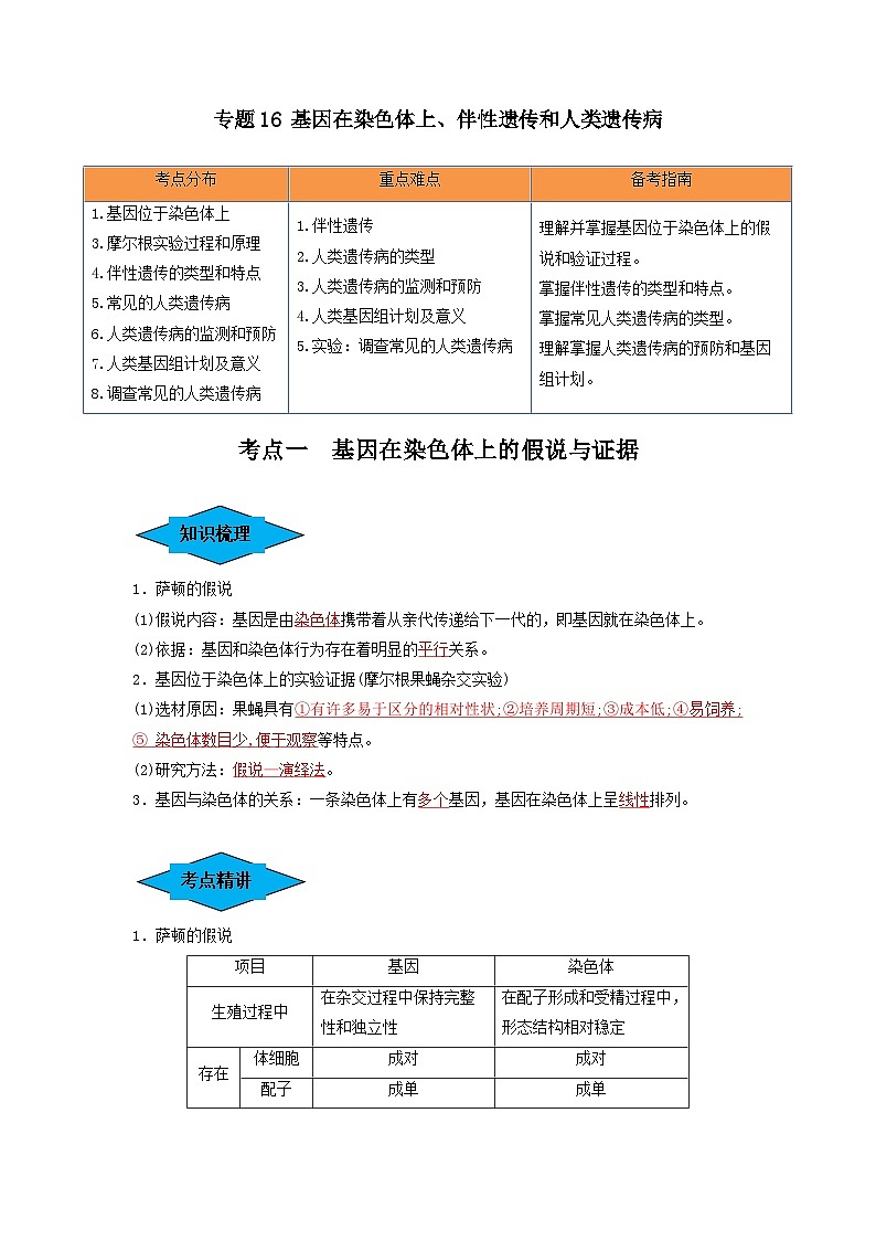 专题16 基因在染色体上、伴性遗传和人类遗传病（串讲）（解析版）第1页