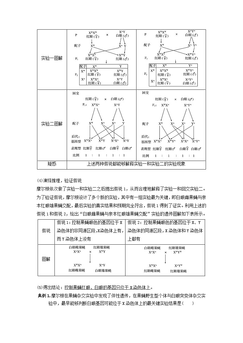 专题16 基因在染色体上、伴性遗传和人类遗传病（串讲）（解析版）第3页