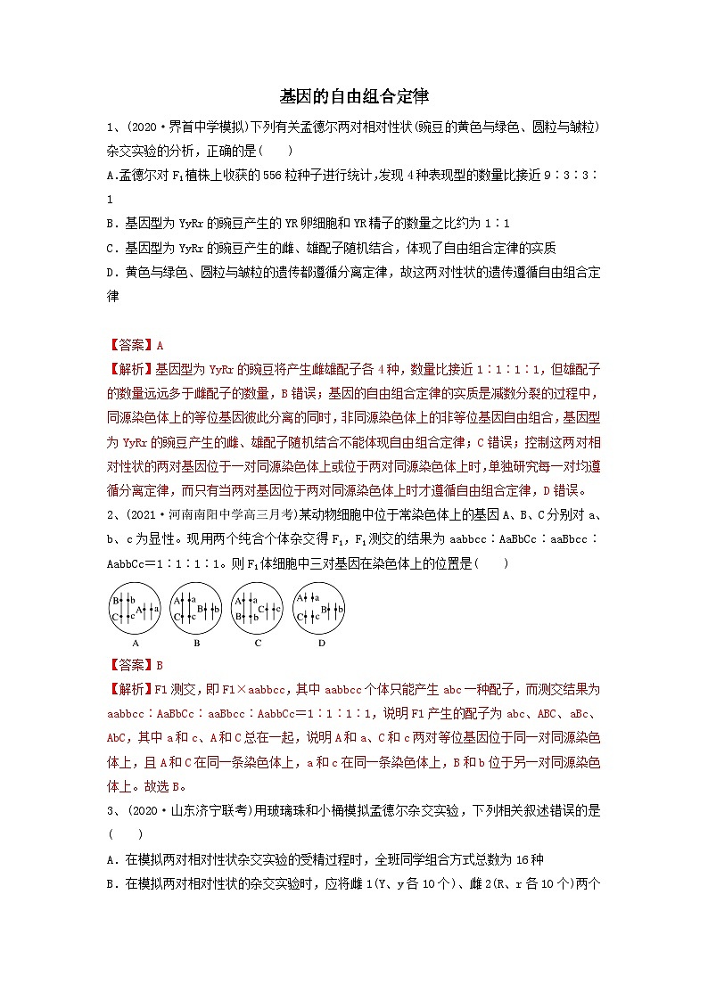 专题15 基因的自由组合定律（精练）（解析版）第1页