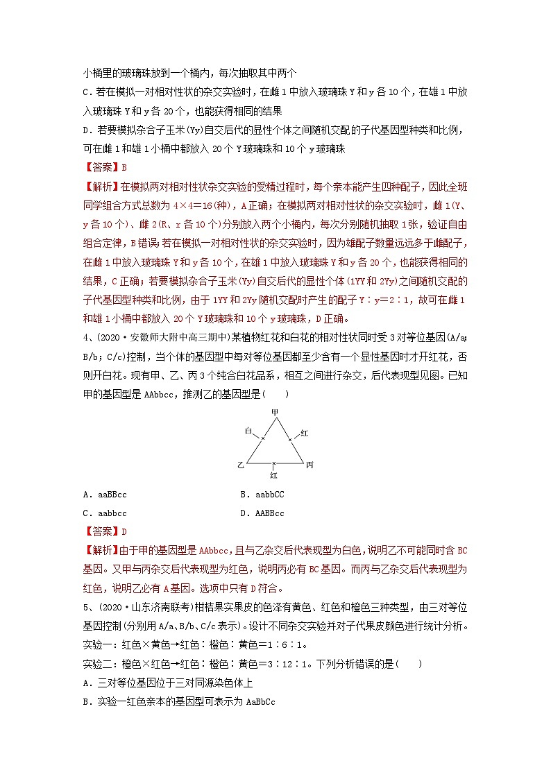专题15 基因的自由组合定律（精练）（解析版）第2页