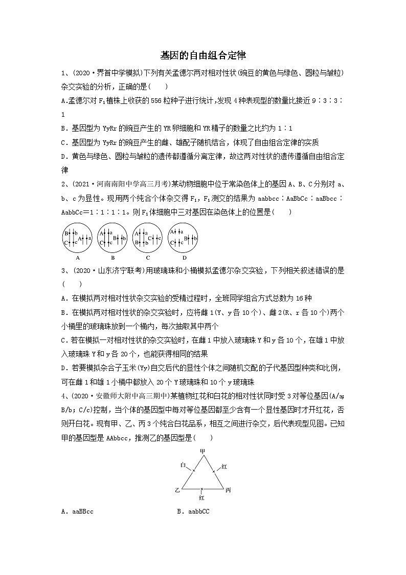 专题15 基因的自由组合定律（精练）（原卷版）第1页