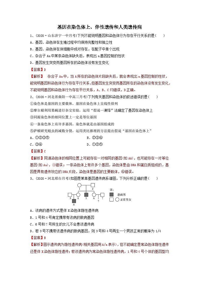 专题16 基因在染色体上、伴性遗传和人类遗传病（精练）（解析版）第1页