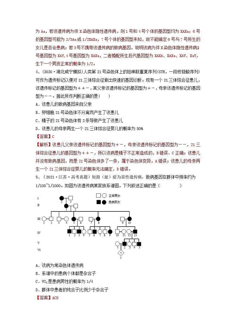 专题16 基因在染色体上、伴性遗传和人类遗传病（精练）（解析版）第2页