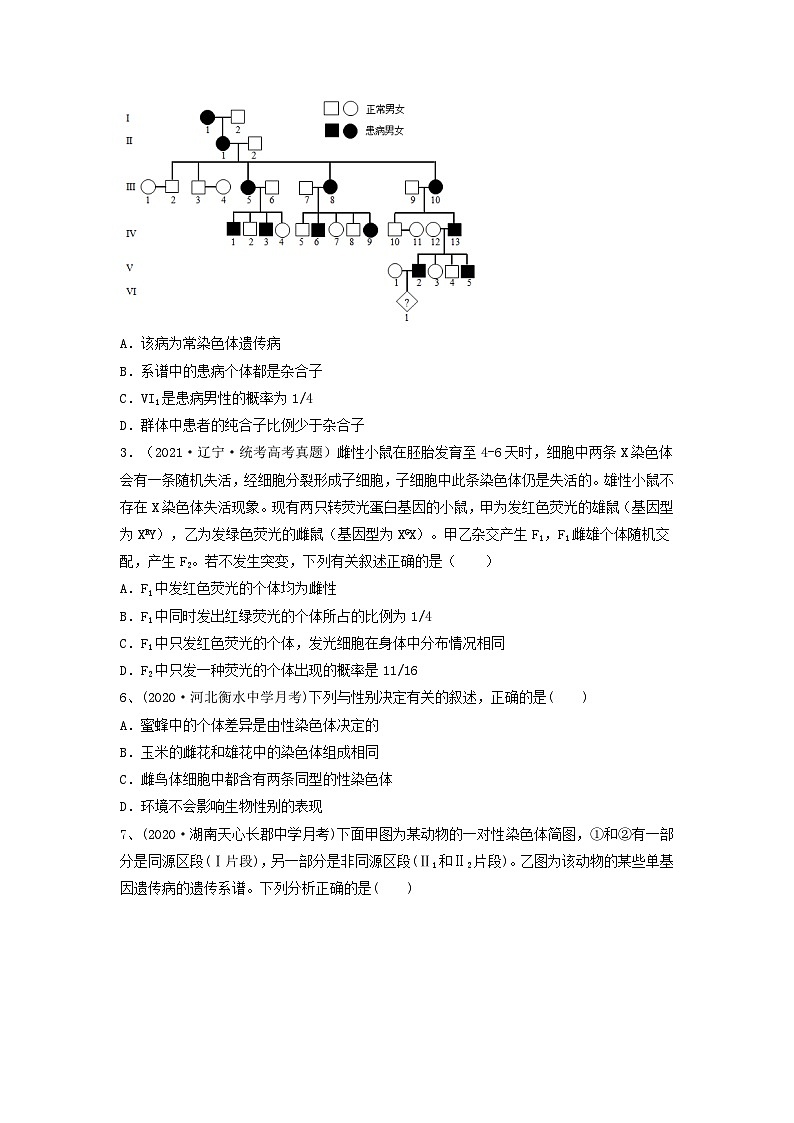 专题16 基因在染色体上、伴性遗传和人类遗传病（精练）（原卷版）第2页