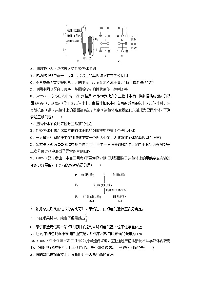 专题16 基因在染色体上、伴性遗传和人类遗传病（精练）（原卷版）第3页