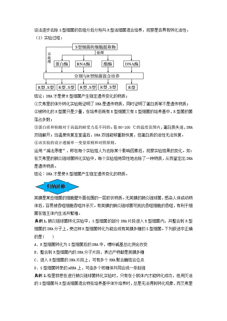 专题17 DNA是主要的遗传物质（串讲）（原卷版）第2页