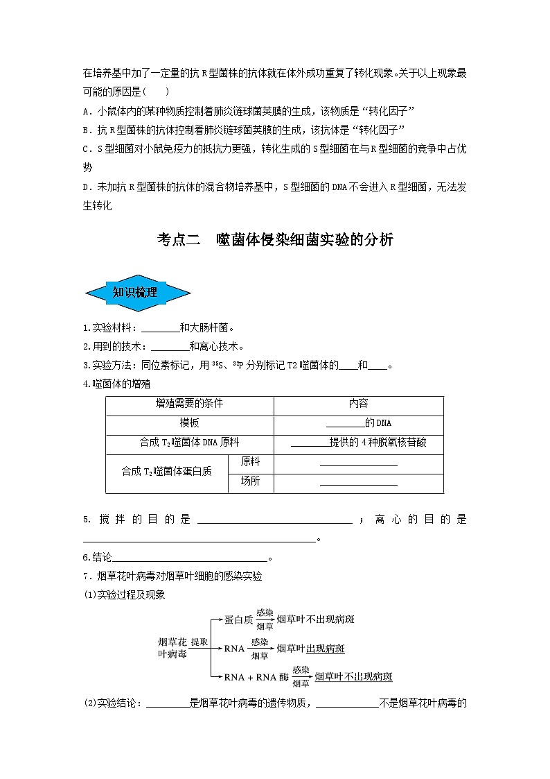 专题17 DNA是主要的遗传物质（串讲）（原卷版）第3页