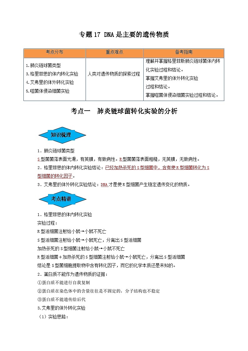 专题17 DNA是主要的遗传物质（串讲）（解析版）第1页