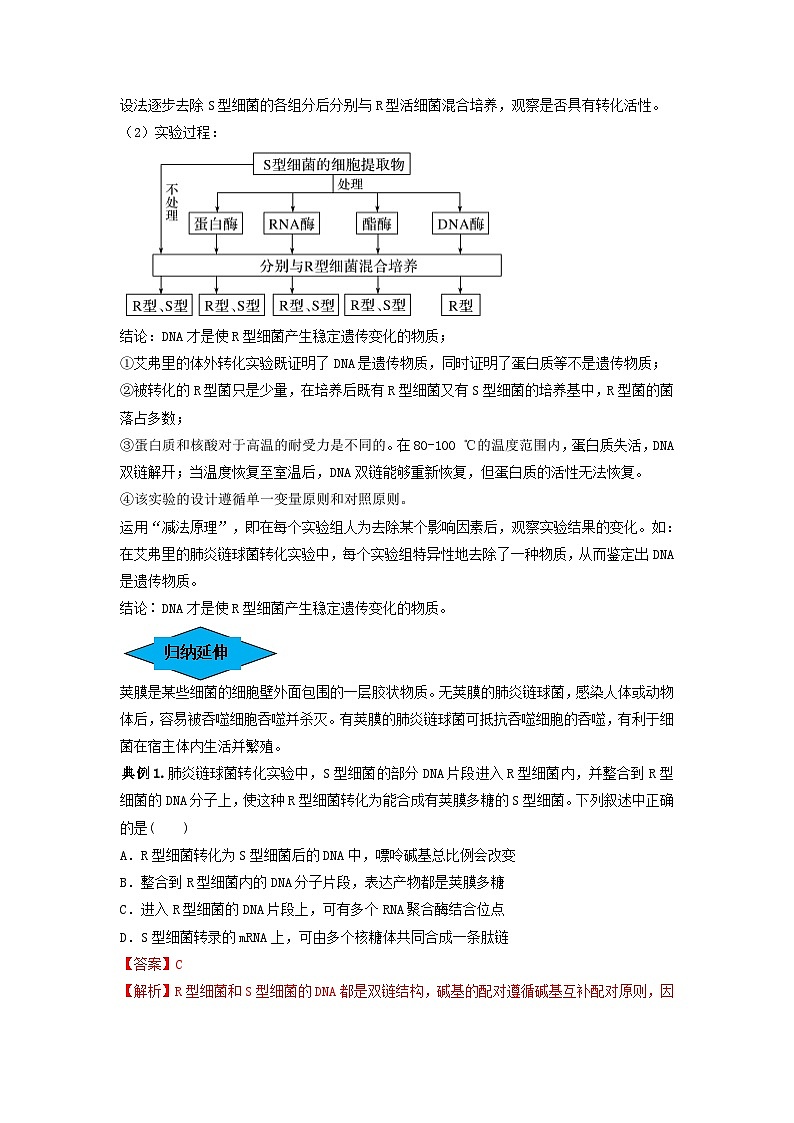 专题17 DNA是主要的遗传物质（串讲）（解析版）第2页