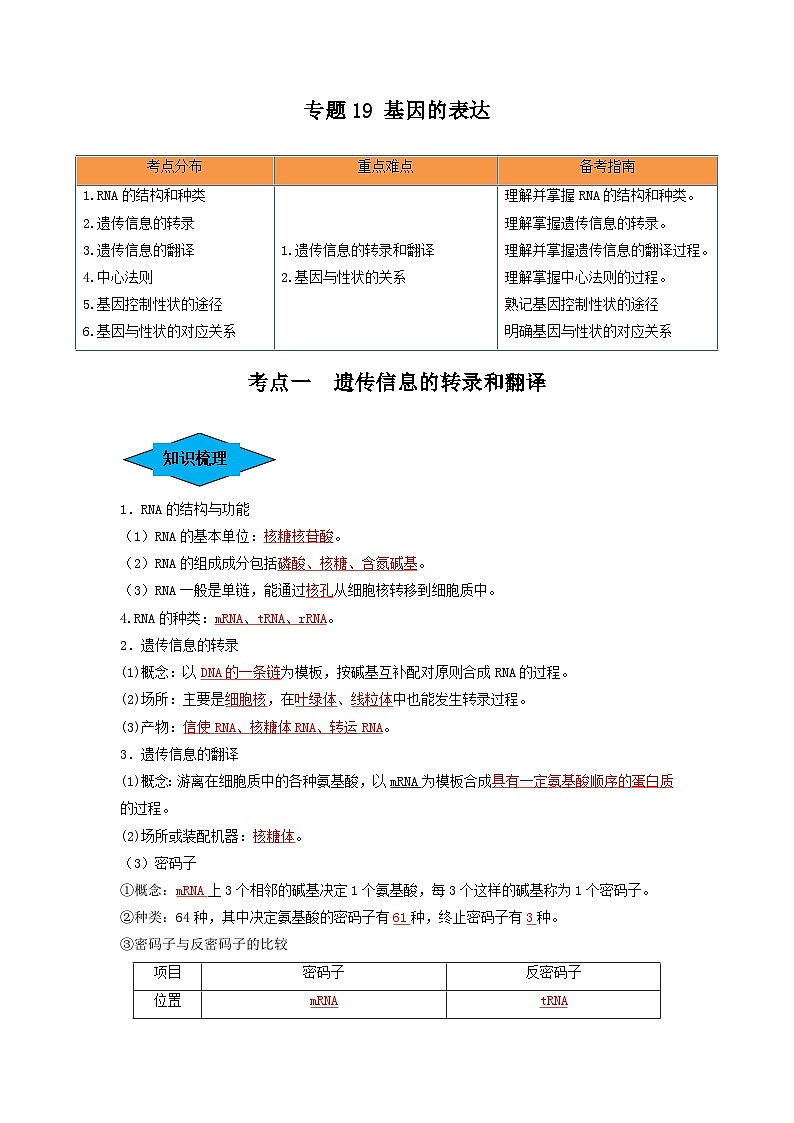 专题19 基因的表达（串讲）-备战2024年高考生物一轮复习精讲精练（新高考专用）01