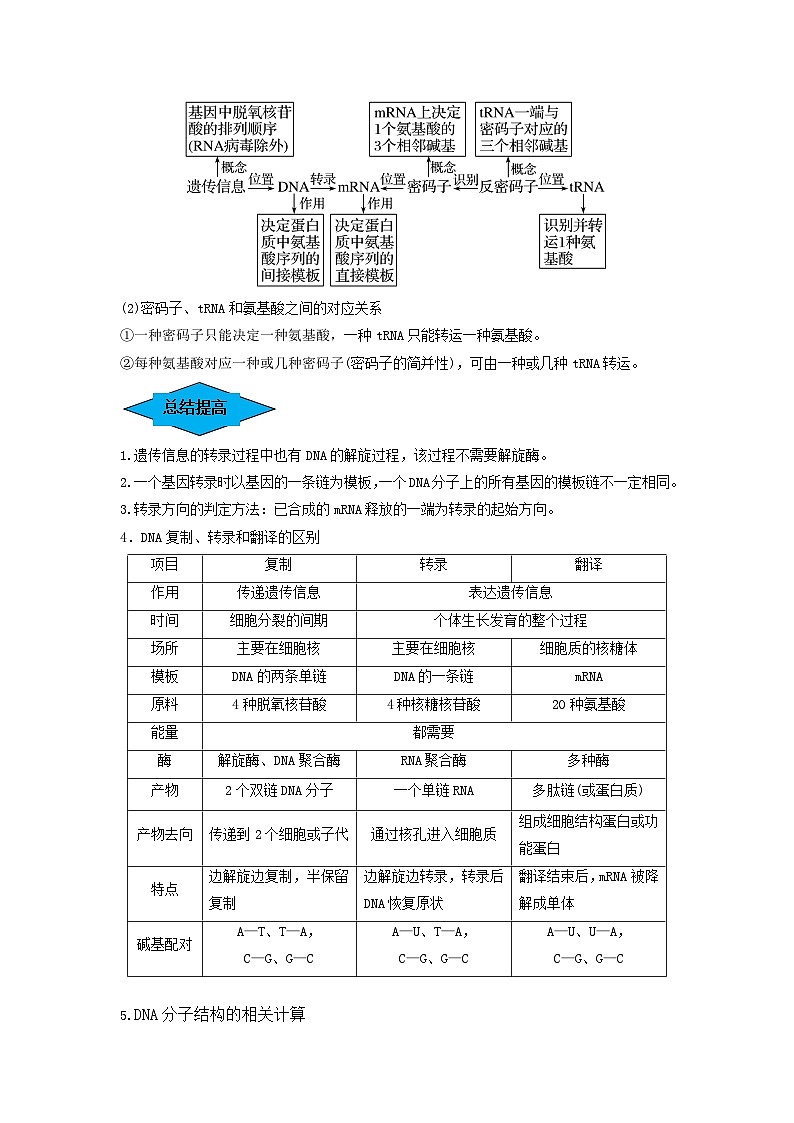 专题19 基因的表达（串讲）-备战2024年高考生物一轮复习精讲精练（新高考专用）03