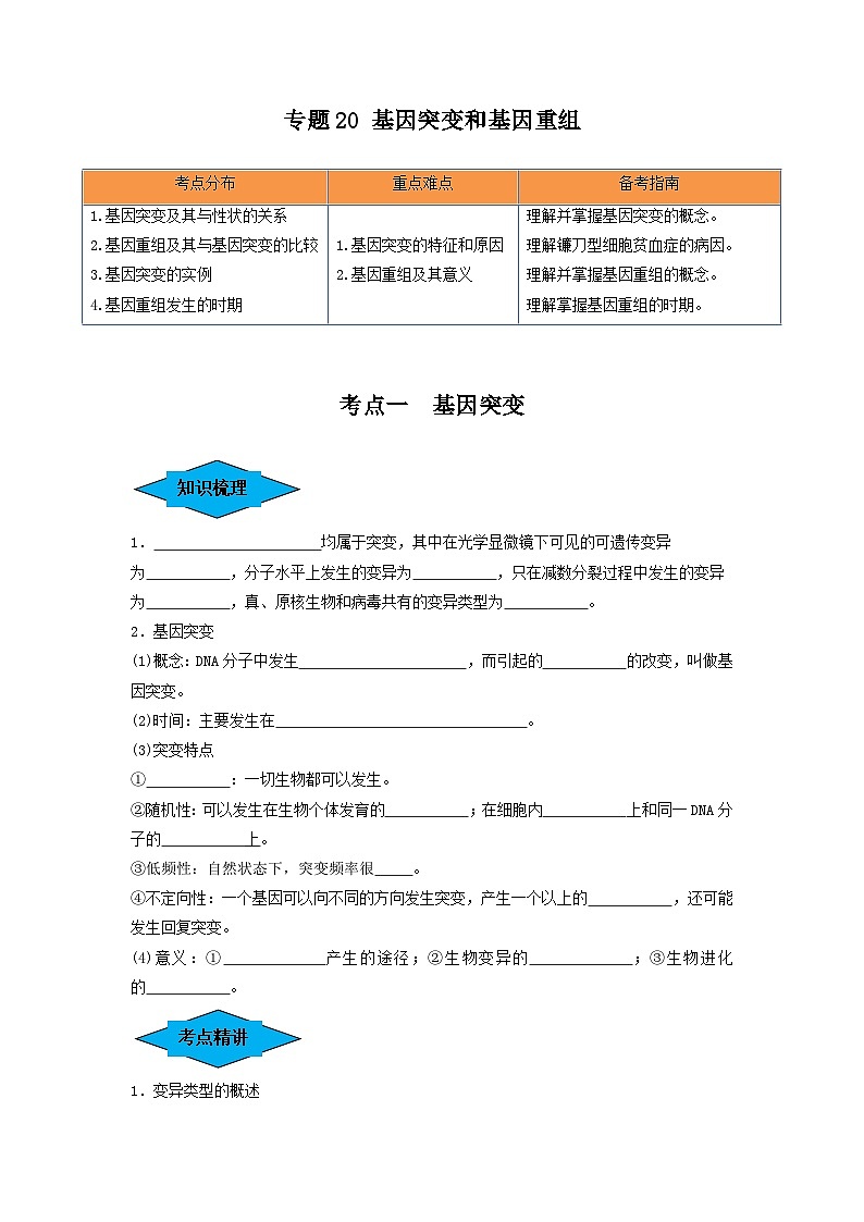 专题20 基因突变和基因重组（串讲）（原卷版）第1页
