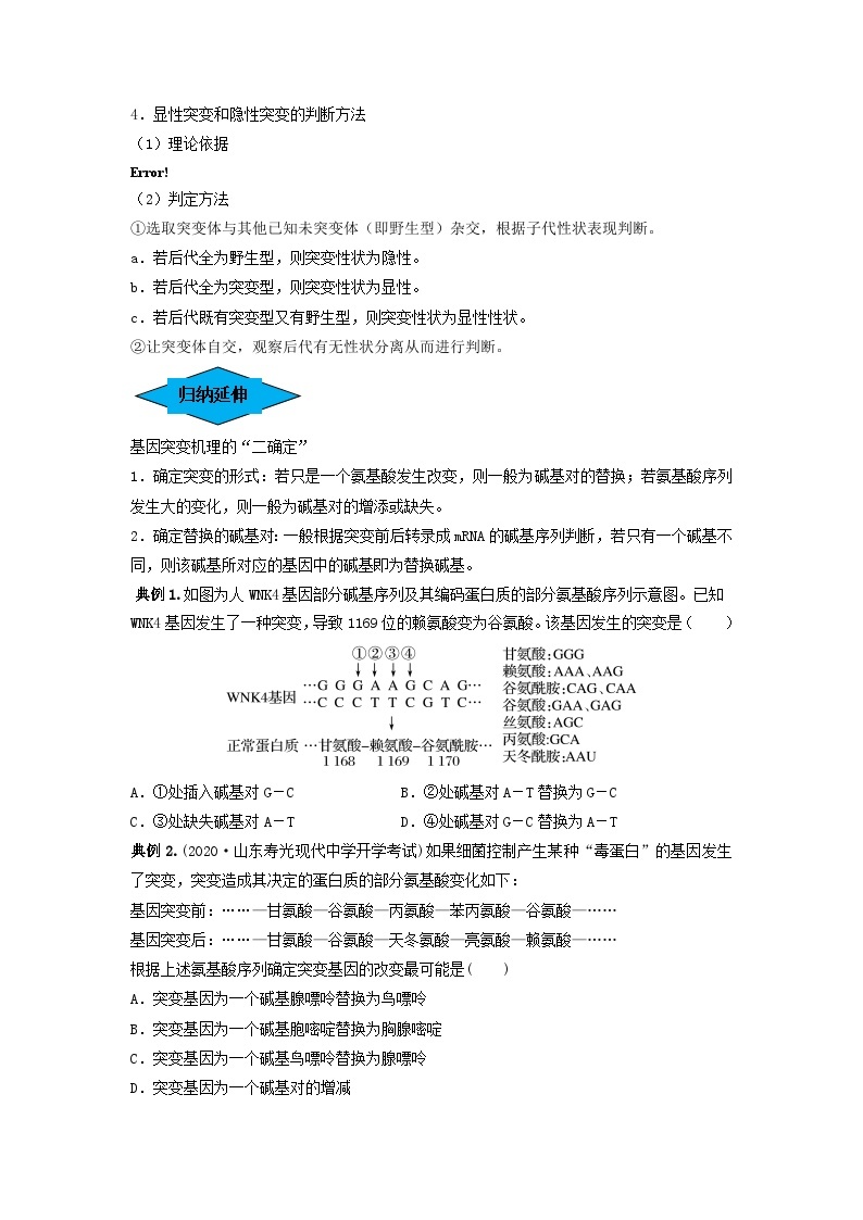 专题20 基因突变和基因重组（串讲）-备战2024年高考生物一轮复习精讲精练（新高考专用）03