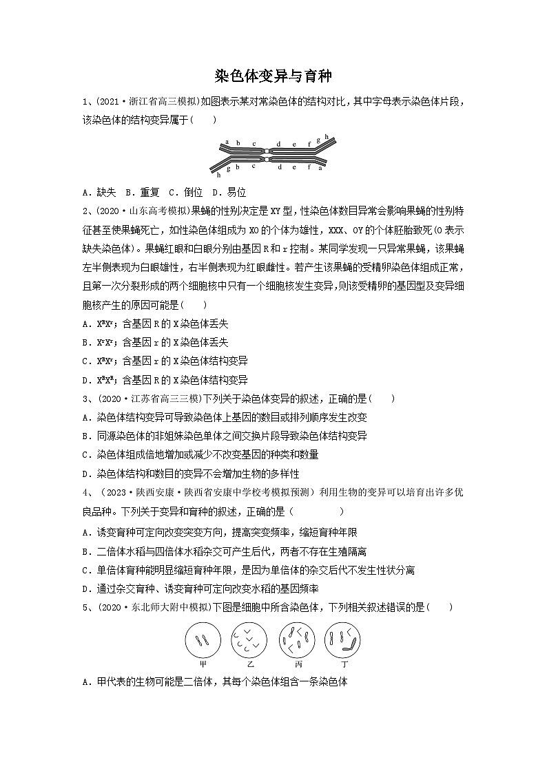 专题21 染色体变异与育种（精练）（原卷版）第1页