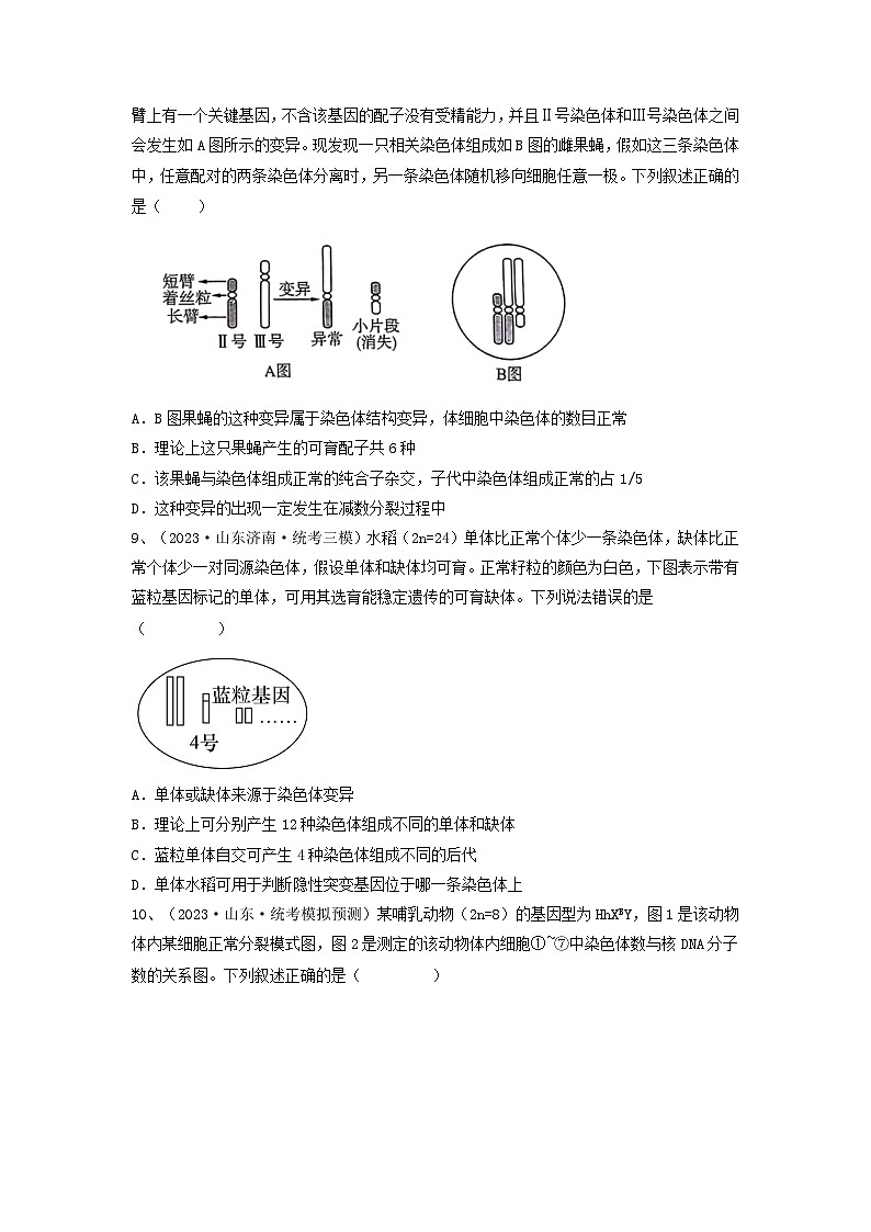 专题21 染色体变异与育种（精练）（原卷版）第3页