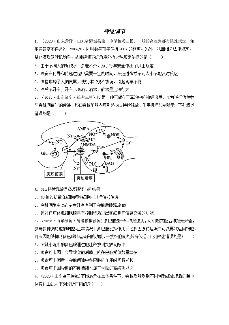 专题24 神经调节（精练）（原卷版）第1页