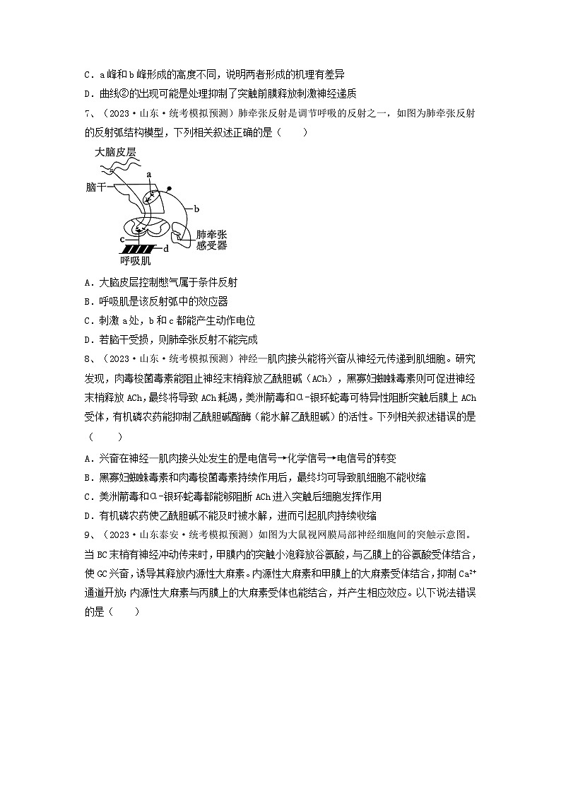 专题24 神经调节（精练）（原卷版）第3页