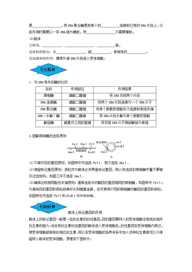 专题32 基因工程（串讲）（原卷版）第2页