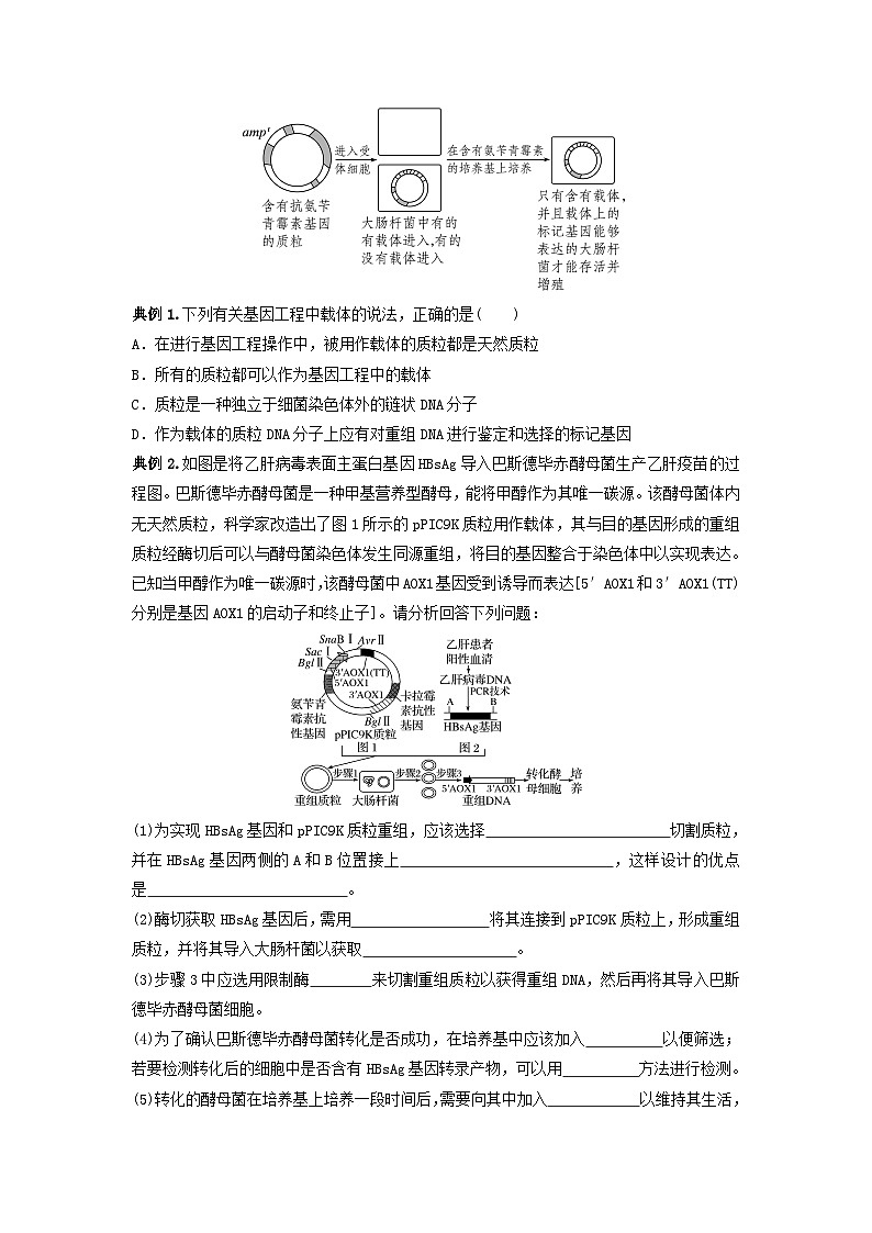 专题32 基因工程（串讲）（原卷版）第3页