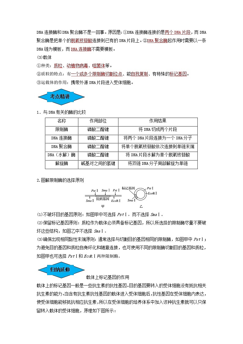 专题32 基因工程（串讲）（解析版）第2页