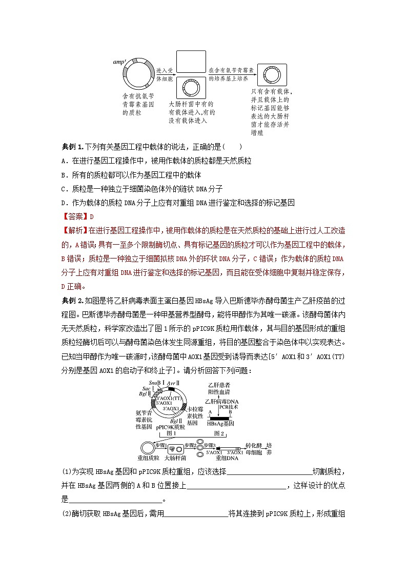 专题32 基因工程（串讲）（解析版）第3页
