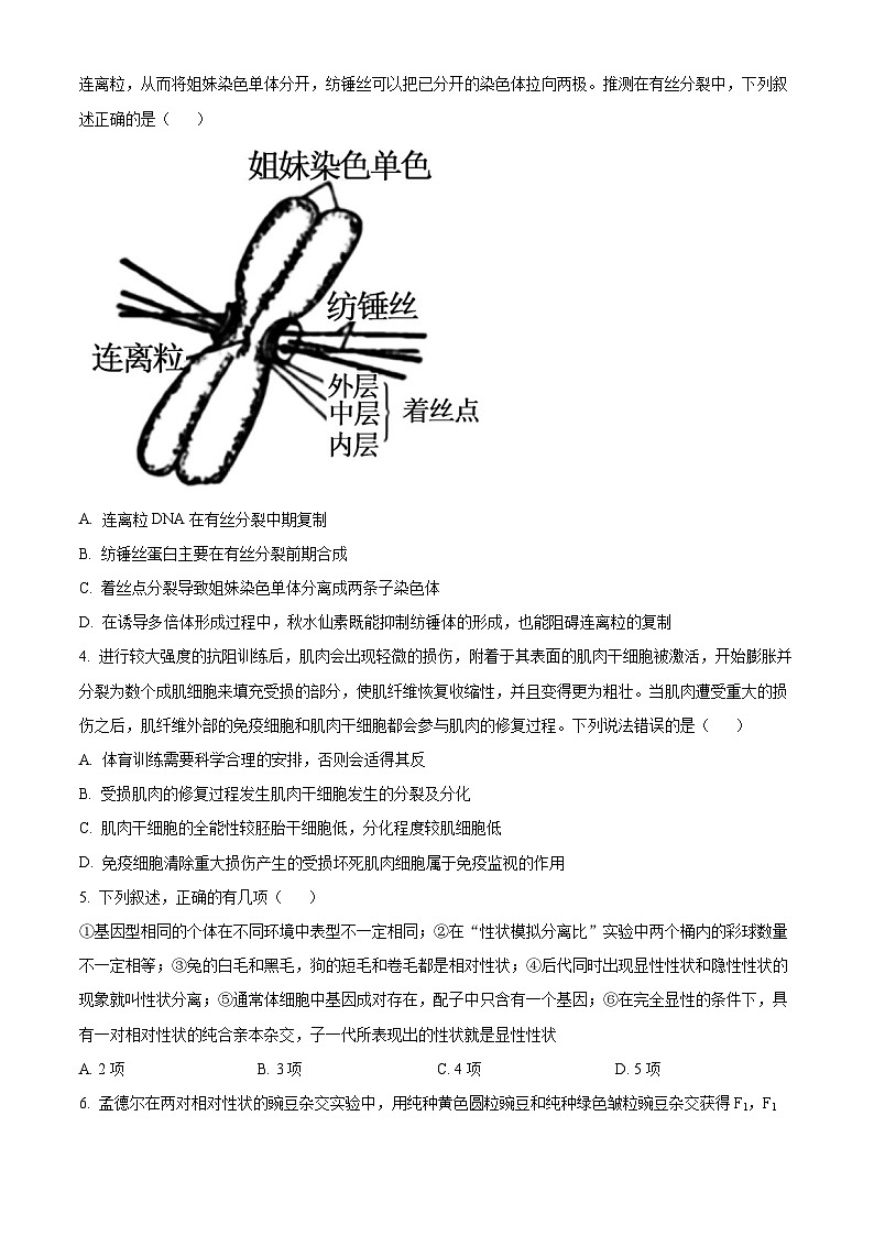 山东省济宁市兖州区2023-2024学年高三上学期期中生物试题（Word版附解析）第2页