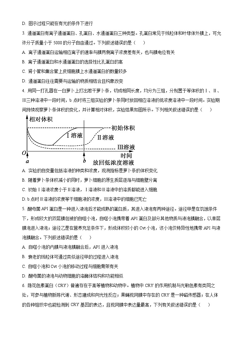 山东省聊城颐中外国语学校2023-2024学年高三上学期期中生物试题（Word版附解析）02