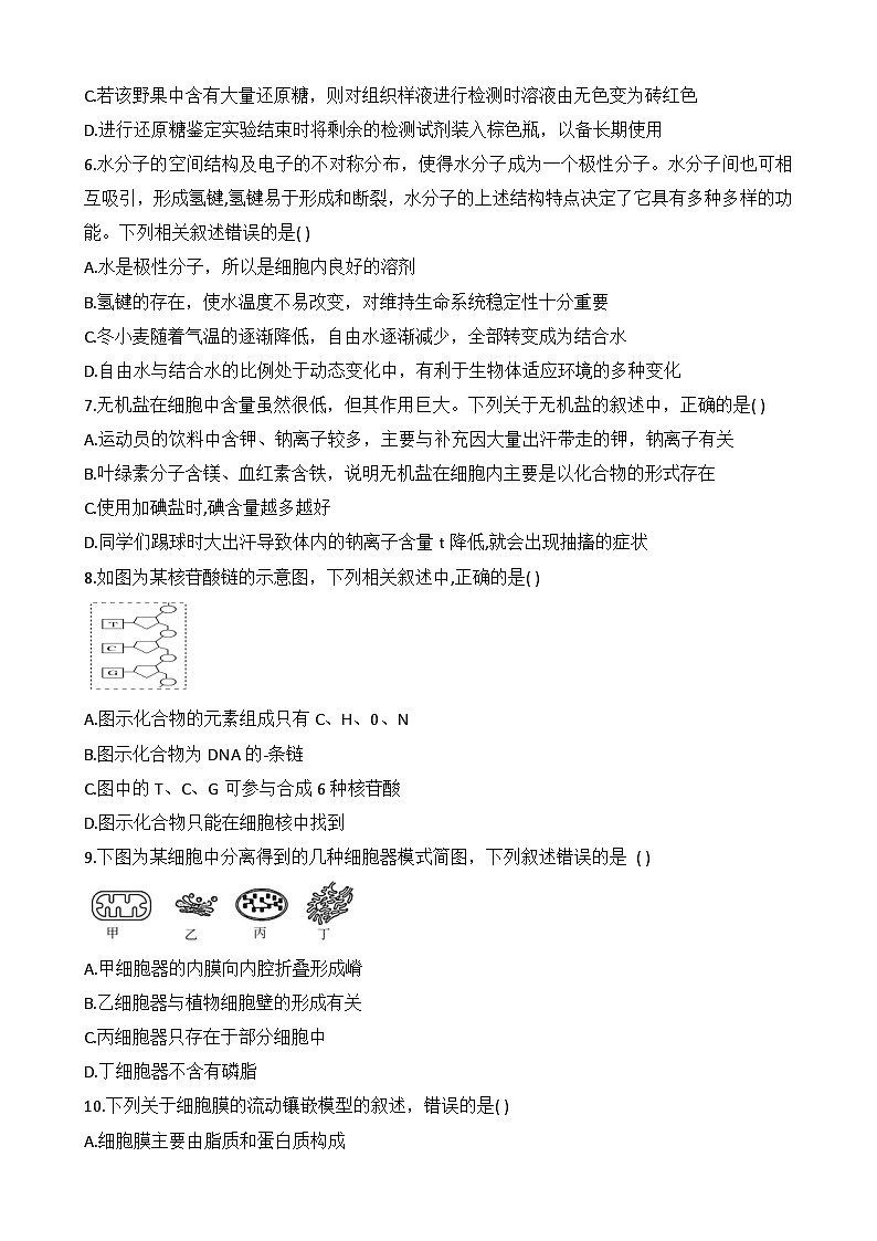河南大学附属中学实验学校2023-2024学年高一上学期12月月考生物试卷第2页